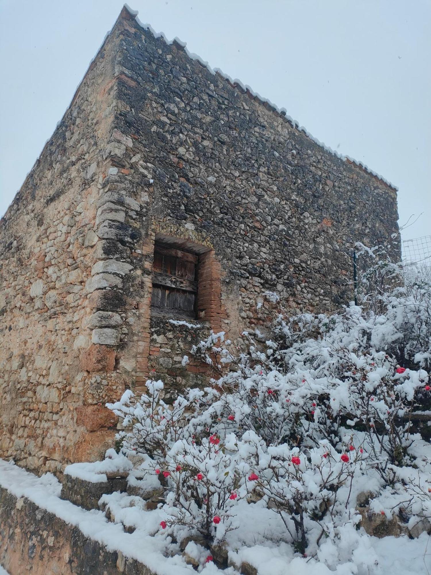 Agriturismo Il Casalino Σπολέτο Εξωτερικό φωτογραφία