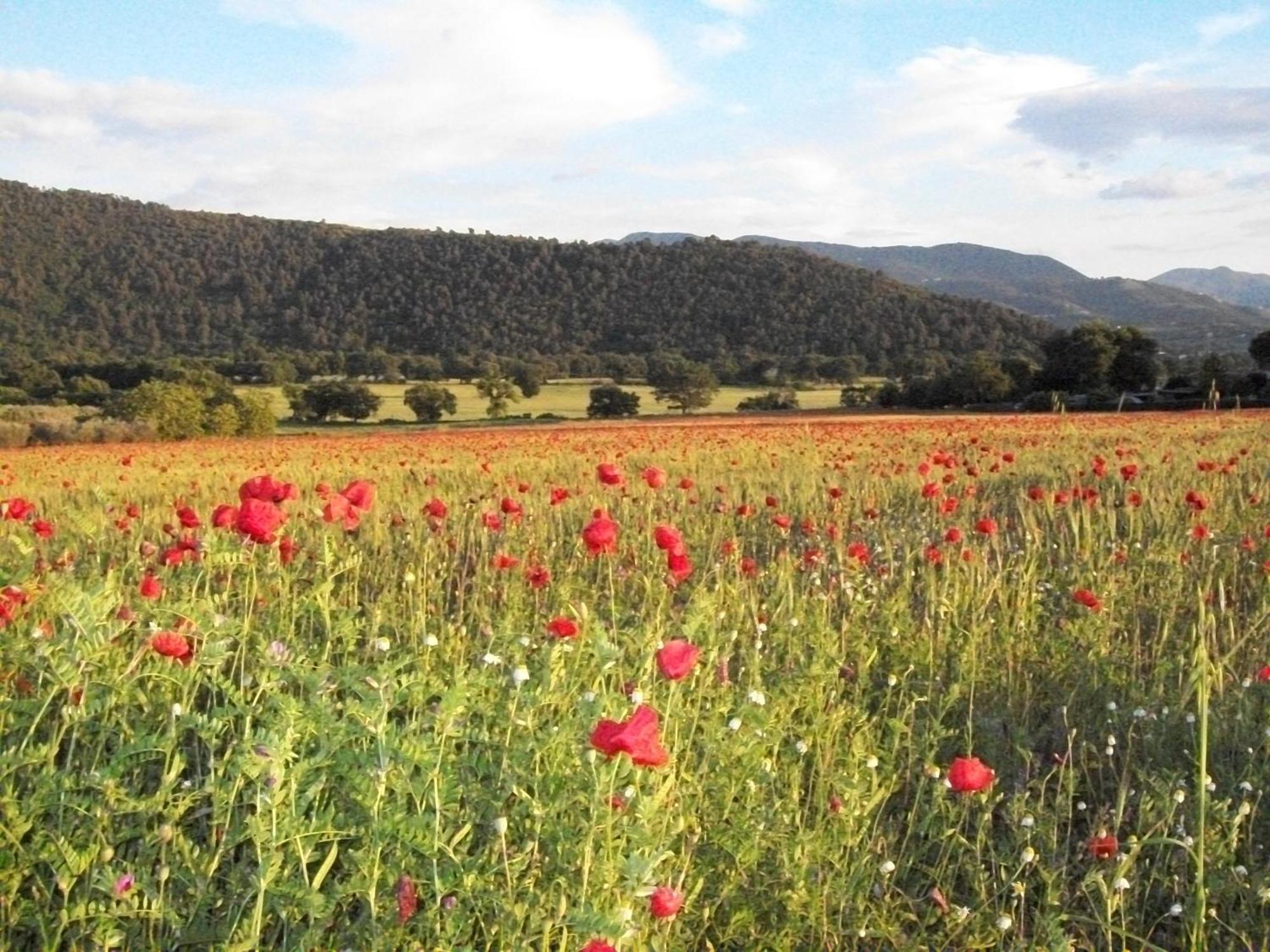 Agriturismo Il Casalino Σπολέτο Εξωτερικό φωτογραφία